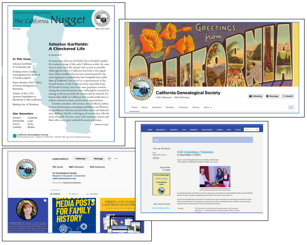 front pages of Nugget, blog, other publications
